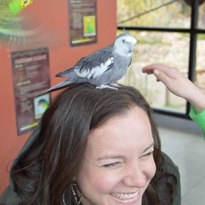 Meet your Posher, Jenny
